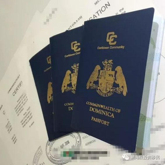 为什么您需要第二本护照的五大理由