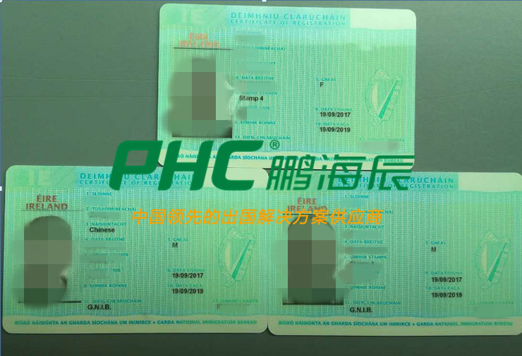 爱尔兰投资L女士一家收到身份卡和两年多次往返签证